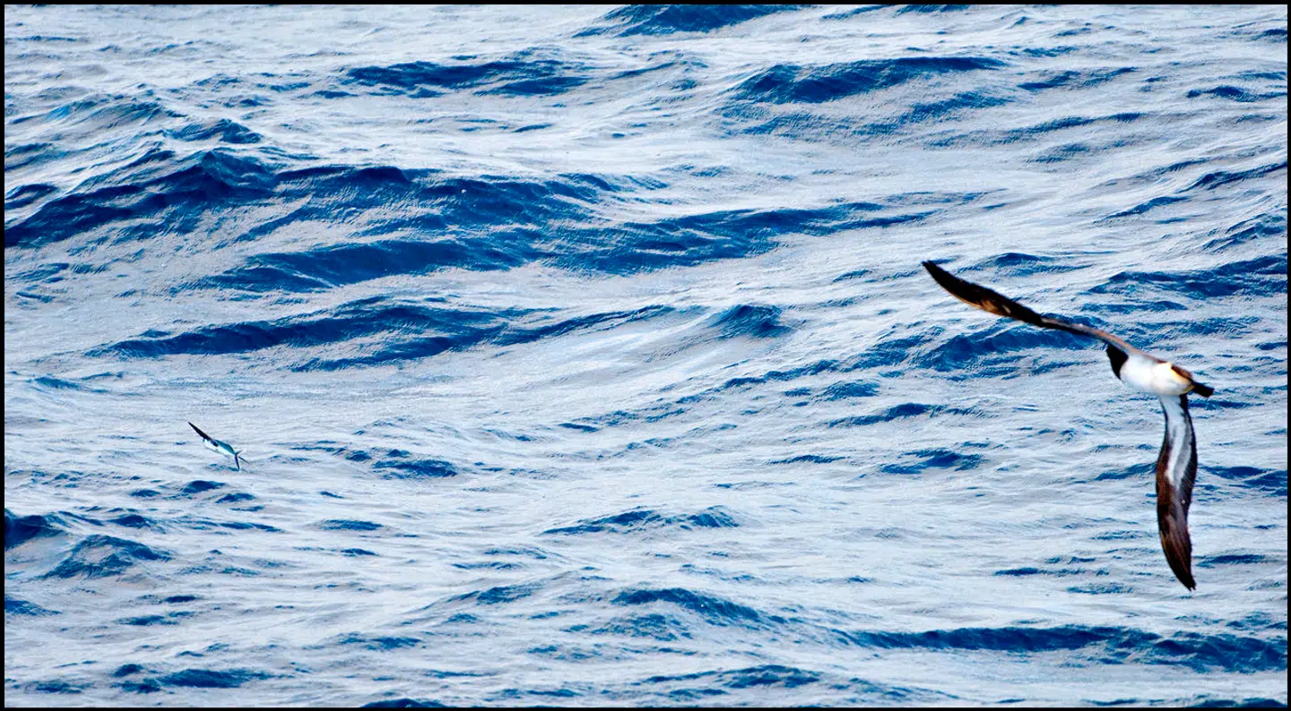 Er du rigtig klog på Atlanterhavet? Svar på 10 spørgsmål om Atlanterhavet og vind præmier.