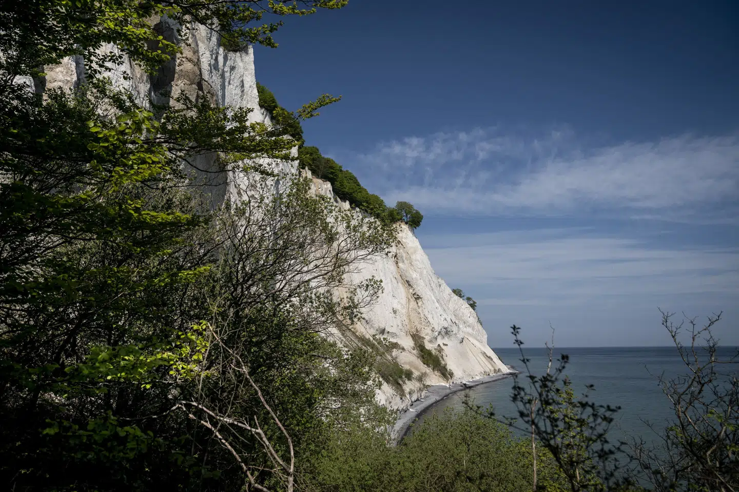 Der er lørdag sket en ulykke ved Møns Klint. En turist faldt ud over klinten og afgået ved døden. (Arkivfoto).
