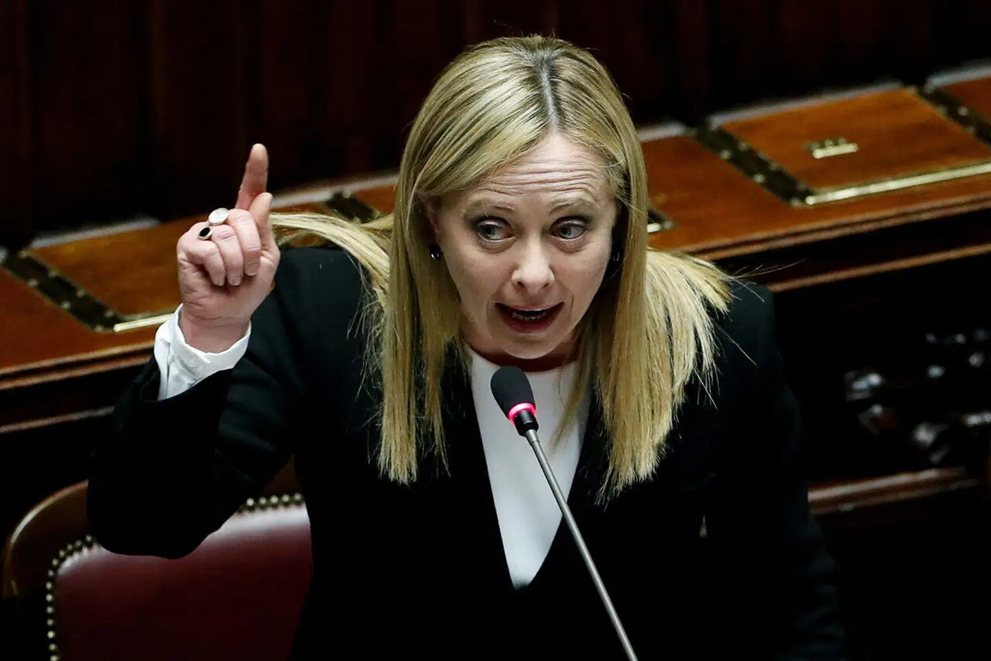 Mens Italiens højrenationale premierminister, Giorgia Meloni, vil retsforfølge brug af rugemødre over alt på kloden, er hendes åndsfæller fra det spanske parti Vox mere i tvivl om, hvad de skal mene.