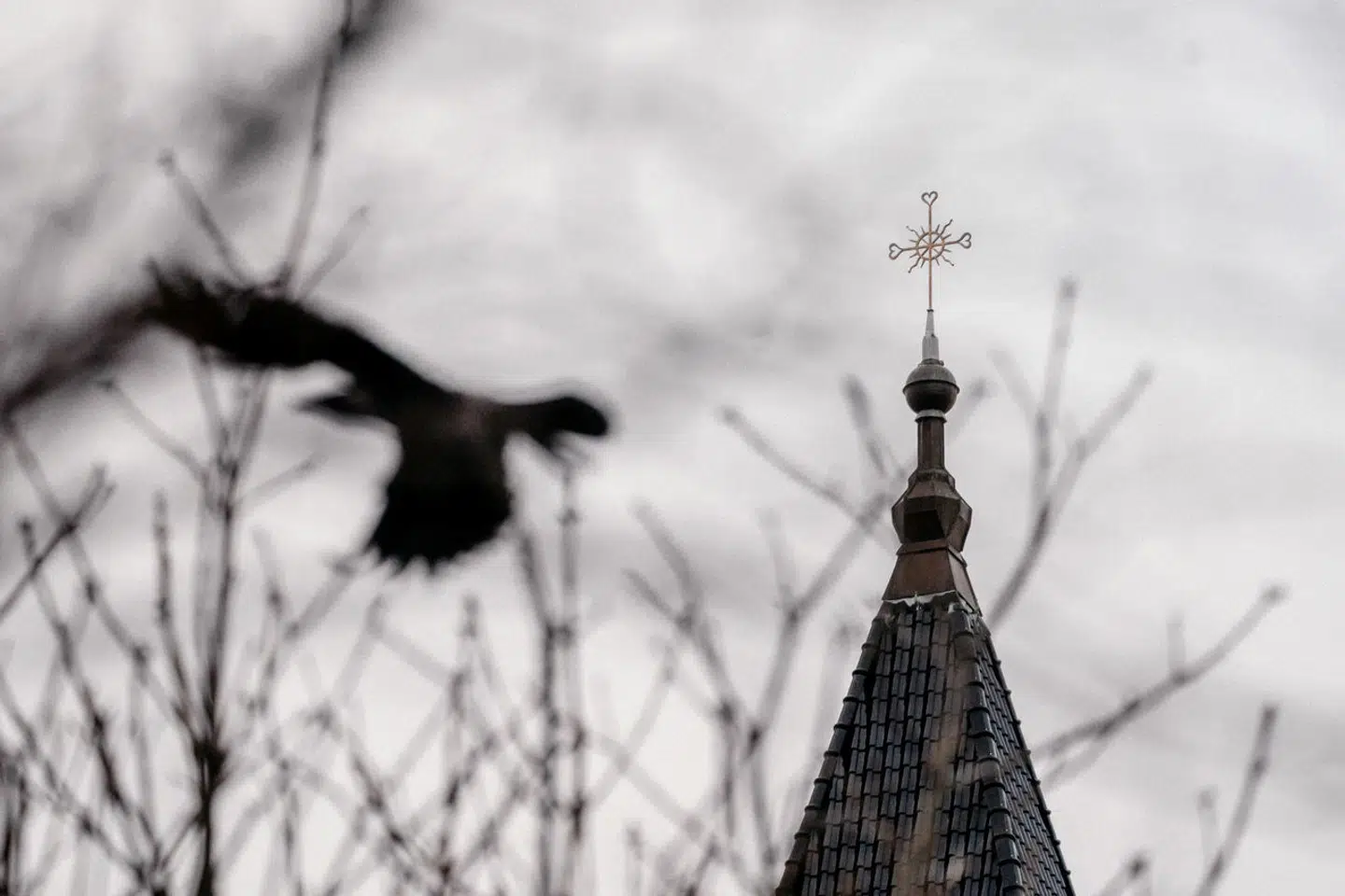 NSG har en nultolerancepolitik over for krænkelser. Af skolens studie- og ordensregler fremgår det, at ingen må udsættes for »krænkende behandling.«