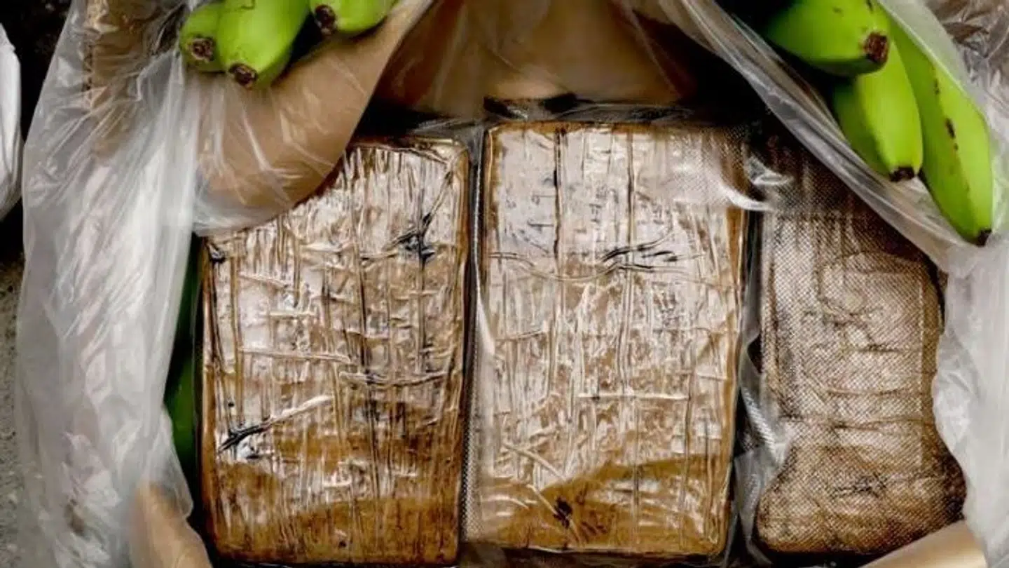 Kokain fundet i en banankasse hos Bama tidligere på året.