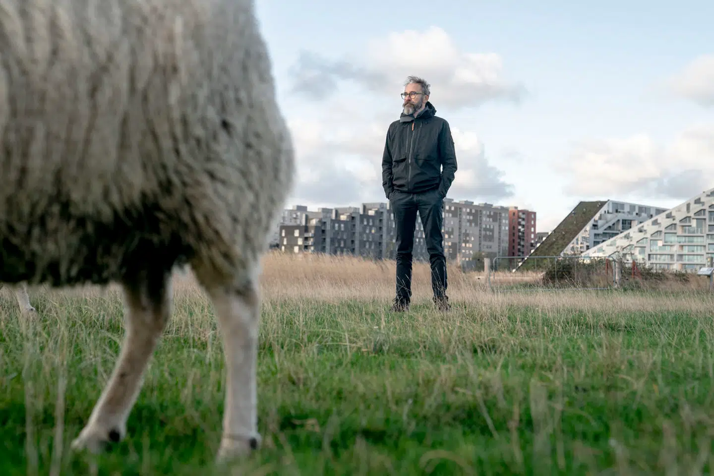 Ole Birk Olesen fra Liberal Alliance har visioner for vild natur kombineret med boliger. Her fotograferet på Kalvebod Fælled.