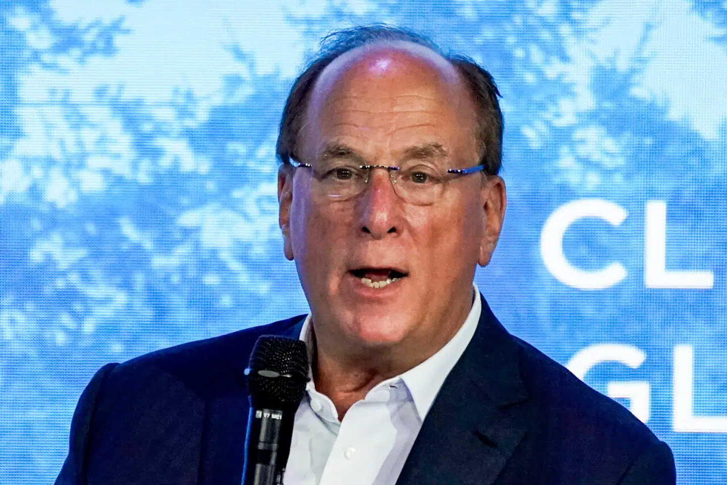 BlackRocks topchef Larry Fink frygten en rullende krise er ved at udvikle sig.