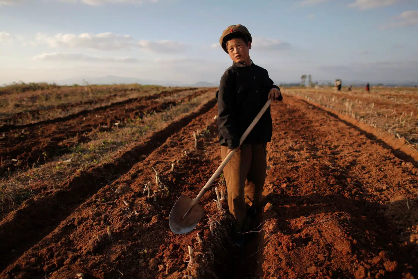 Det estimeres, at Nordkoreas høst i fjor lå fire procent under normalen.