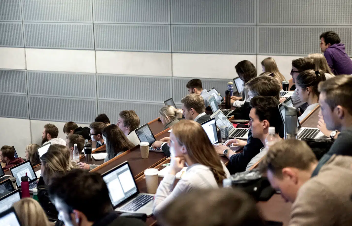 De 2500 nye pladser kommer, efter at et politisk flertal sidste år aftalte at lukke 4000 engelsksprogede studiepladser på erhvervsakademierne og professionshøjskolerne. (Foto: Mathias Bojesen/Ritzau Scanpix)