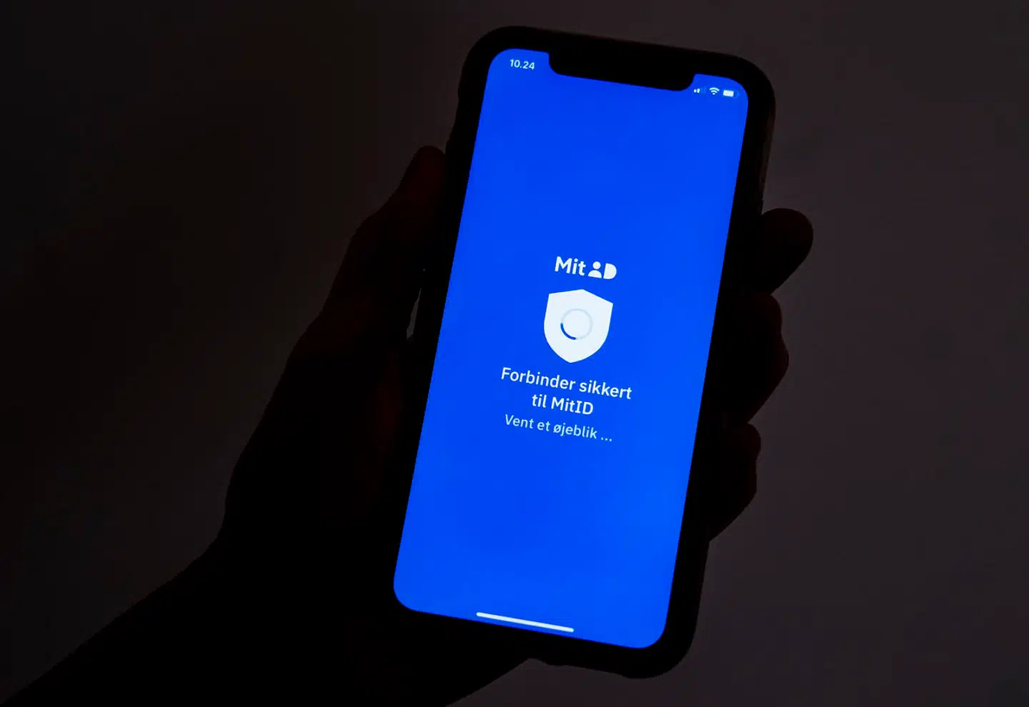 »Det er ikke acceptabelt, at vi gang på gang ikke får løst de problemer, der skal løses her og nu, for eksempel øjeblikkelig adgang til en bankkonto, der pludselig er spærret,« skriver Birthe Roll Brandt om digitaliseringen.