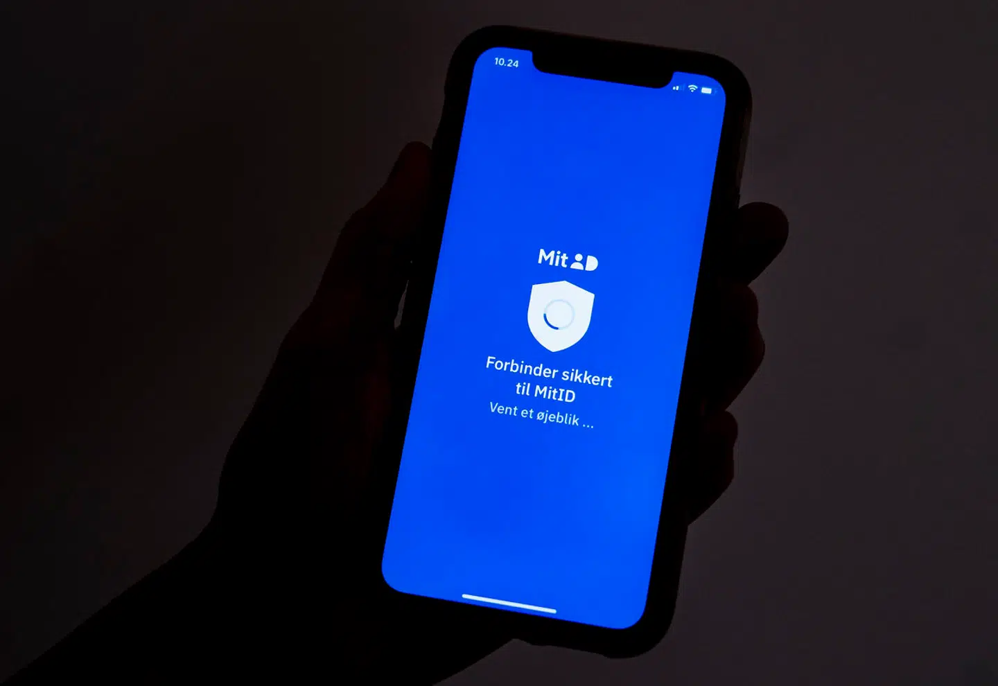 »Det er ikke acceptabelt, at vi gang på gang ikke får løst de problemer, der skal løses her og nu, for eksempel øjeblikkelig adgang til en bankkonto, der pludselig er spærret,« skriver Birthe Roll Brandt om digitaliseringen.