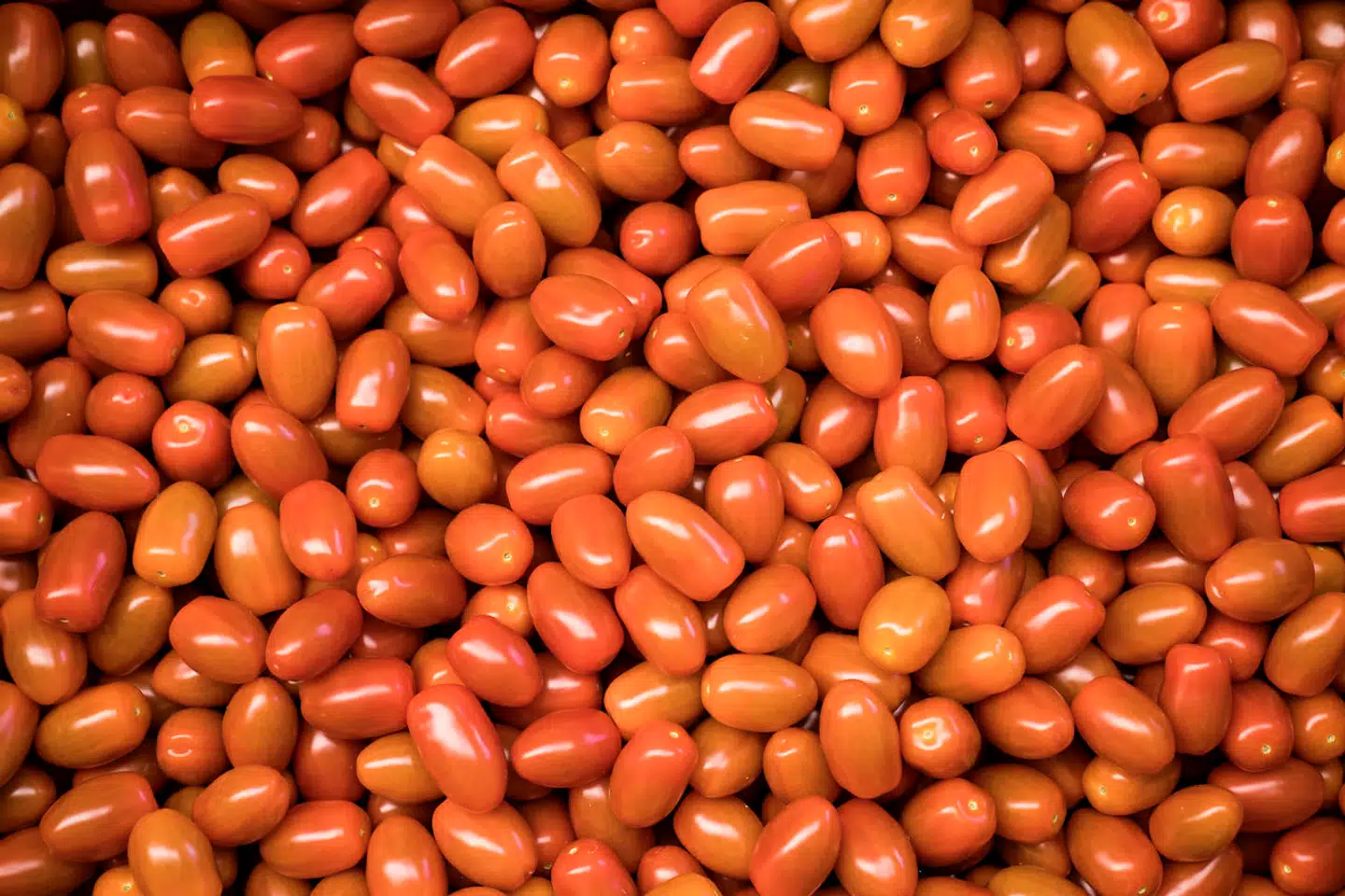 Salget af grønt steg med 44 procent sammenlignet med den tilsvarende periode året før. Salget af frugt steg samtidig med 23 procent. Det viste et forsøg, Coops dagligvarekæde 365discount kørte under folketingsvalget. (ARKIVFOTO)