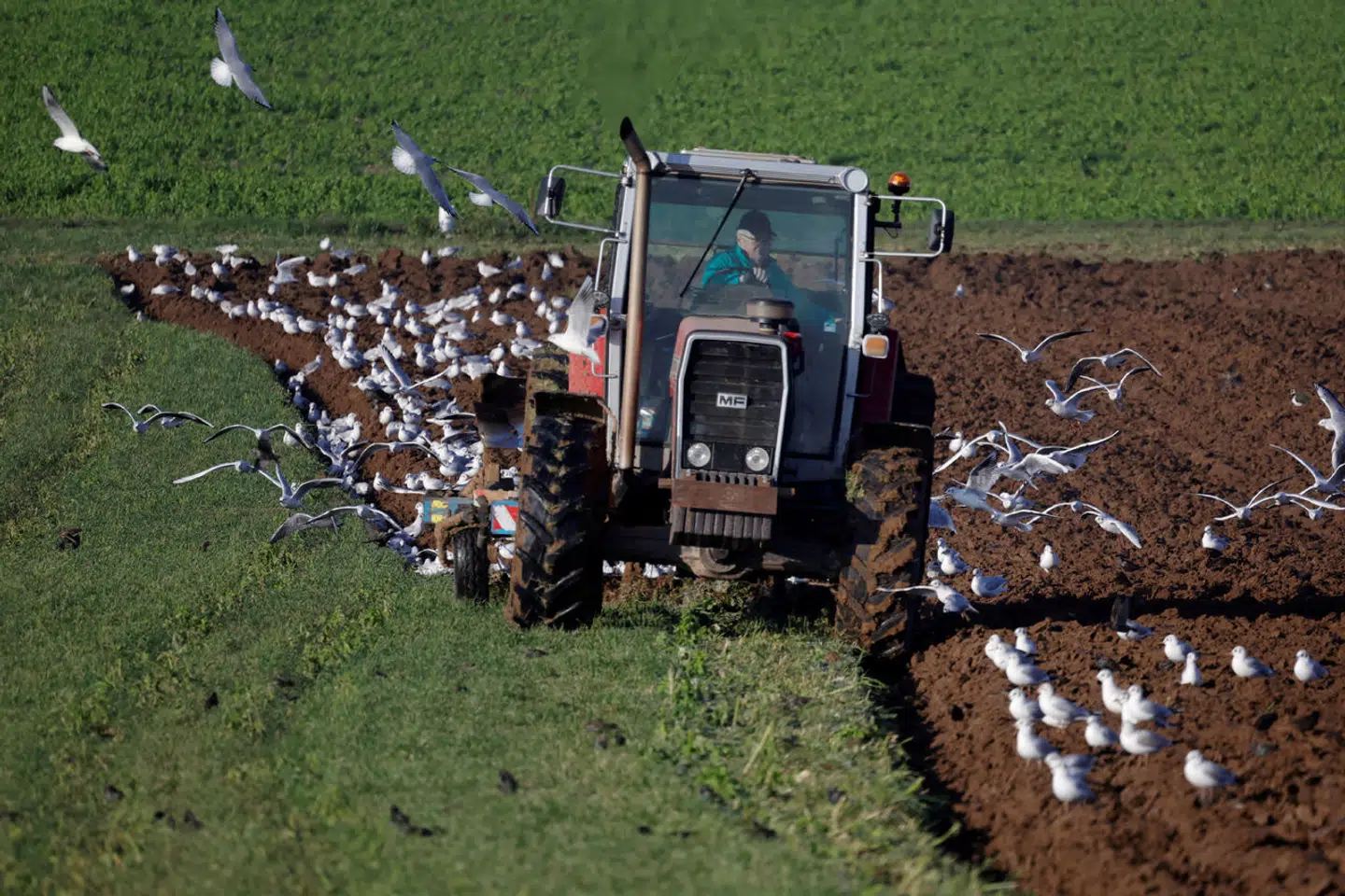 Landboliv er ikke kun frisk luft og behagelige spadsereture i naturen, men også traktorer, der larmende kører frem og tilbage på en mark dagen lang. Det har nogle tilflyttere svært ved at acceptere. Arkivfoto: Pascal Rossignol/Reuters/Ritzau Scanpix