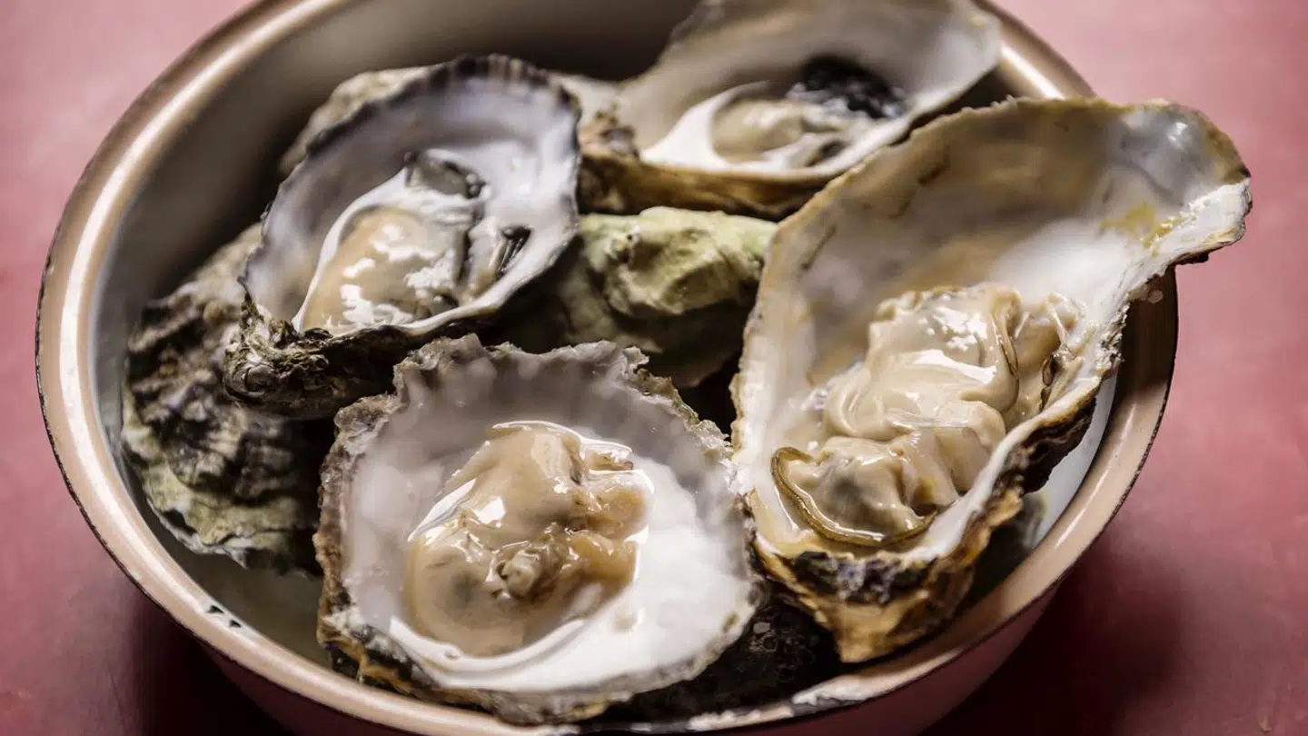 I anbefalingen fra Forbes Magazine blev der især lagt vægt på »lokale, danske østers« og »friskfanget fisk og skaldyr«.