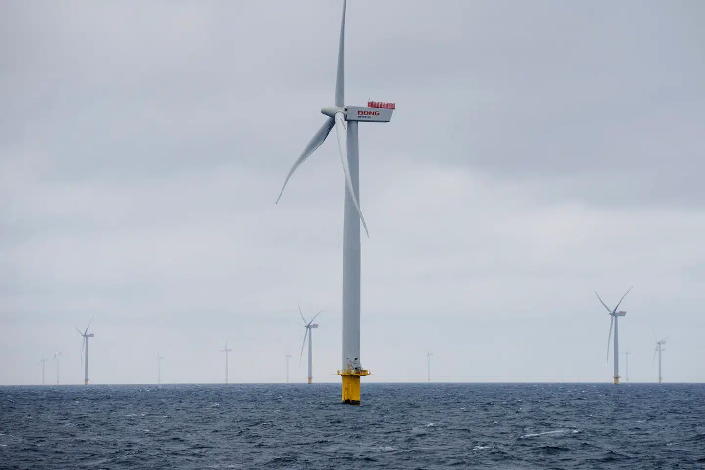 Interessen for at sætte havvindmøller op uden statsstøtte er eksploderet, efter at grøn energi er blevet populær. Derfor trak Energistyrelsen mandag i håndbremsen af frygt for, at man ved at tildele havområder kan komme på kant med EU-lovgivningen. Arkivfoto: Bo Amstrup/Ritzau Scanpix