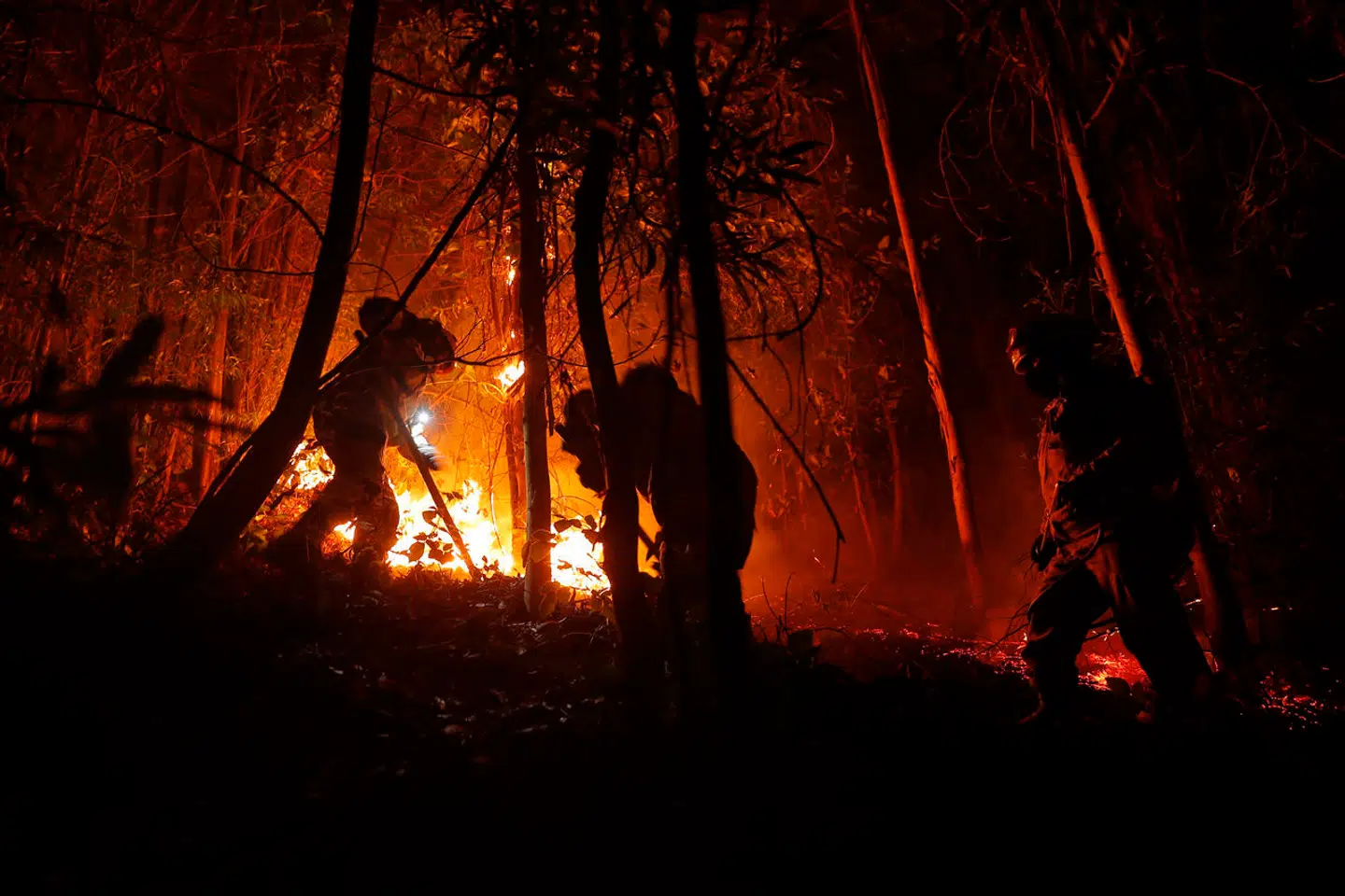 Brandmænd, der bekæmper skovbrand i Araucania regionen lørdag den 4. februar. (Photo by JAVIER TORRES / AFP)
