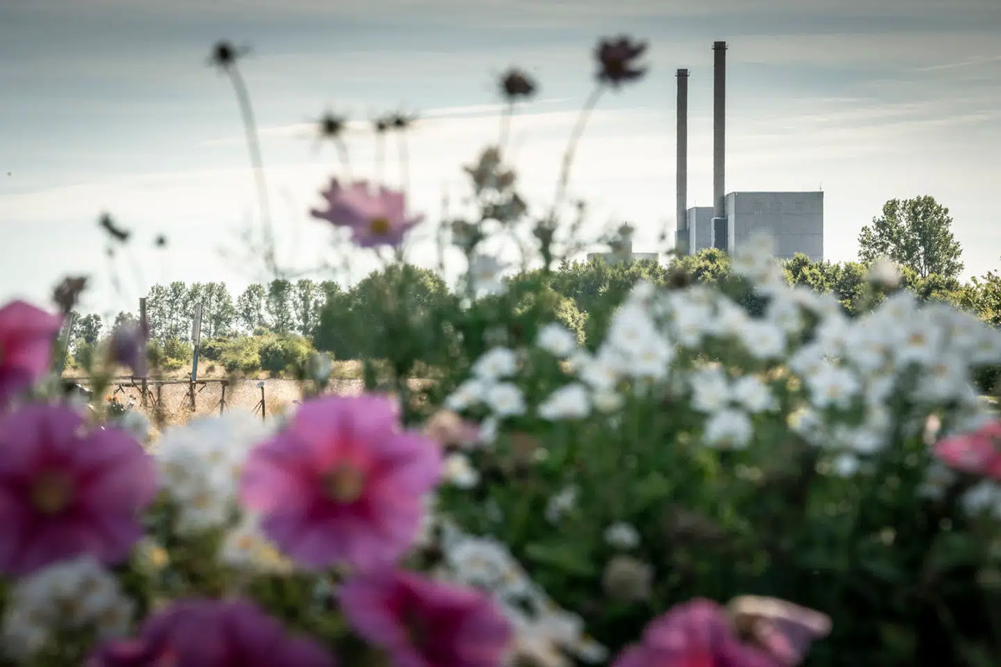 Seaborg arbejder på at udvikle langt mere effektive reaktorer til atomkraftværkerne, men virksomheden er udfordret af den udbredte skepsis over for den omdiskuterede energitype i Danmark.