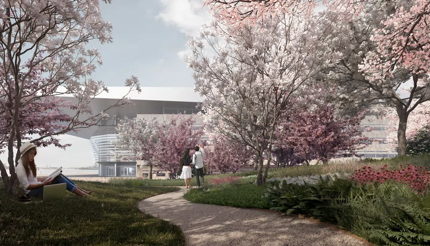 Selv kirsebærhaven formår næsten at skjule Operaens massiv.