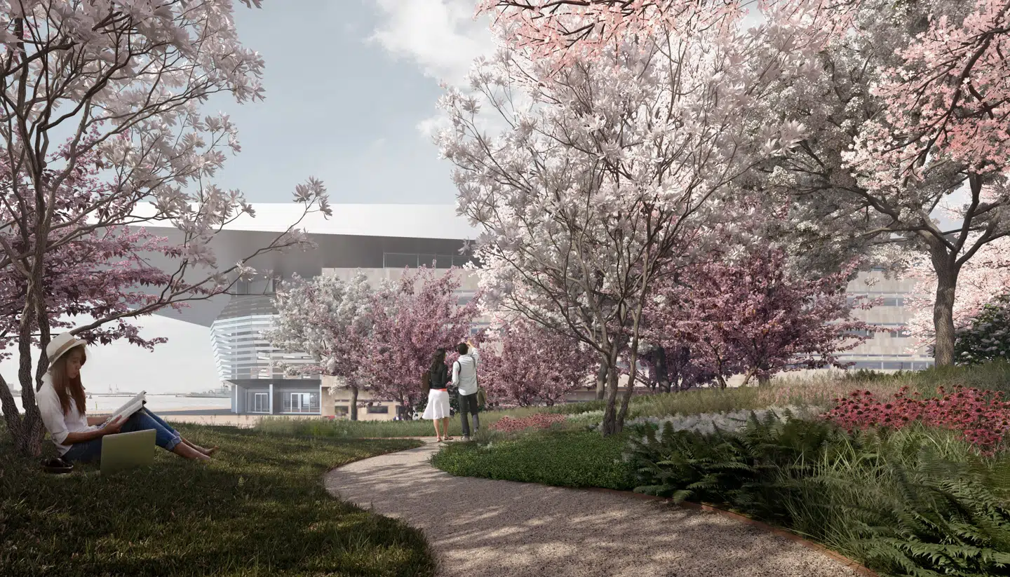 Selv kirsebærhaven formår næsten at skjule Operaens massiv.