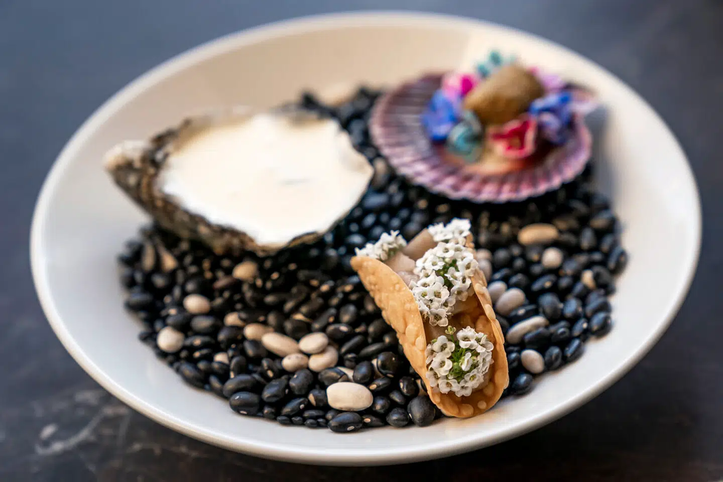 Snacks: Østers, kammusling og taco.