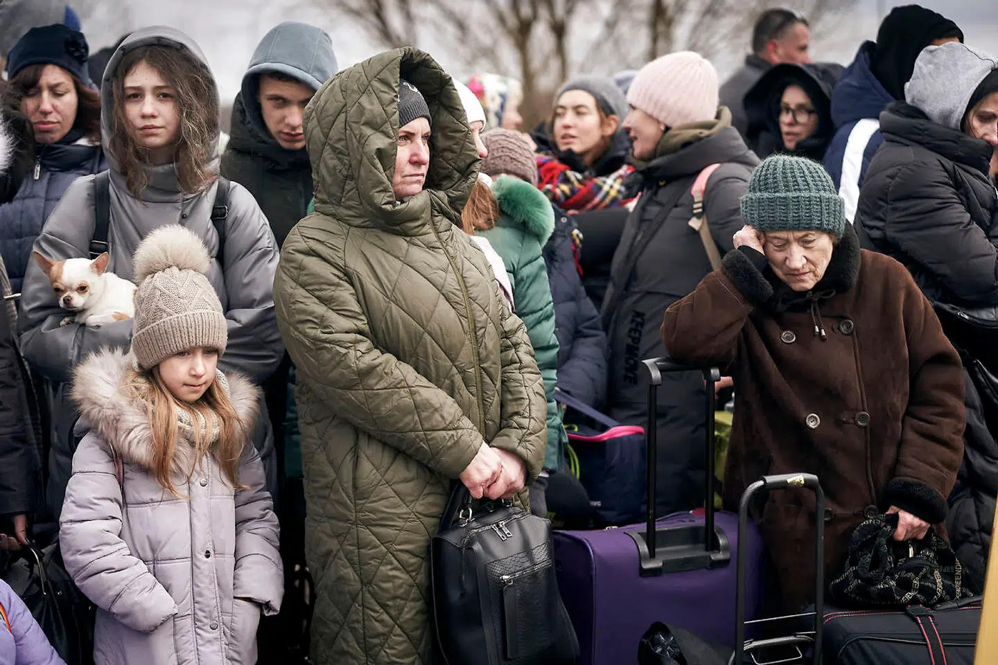Efter Ruslands invasion af Ukraine i februar 2022, begyndte ukrainske flygtninge at sprede sig. På billedet ses flygtninge, som ankommer fra Ukraine til Moldova i grænsebyen Palanca i begyndelsen af marts 2022.