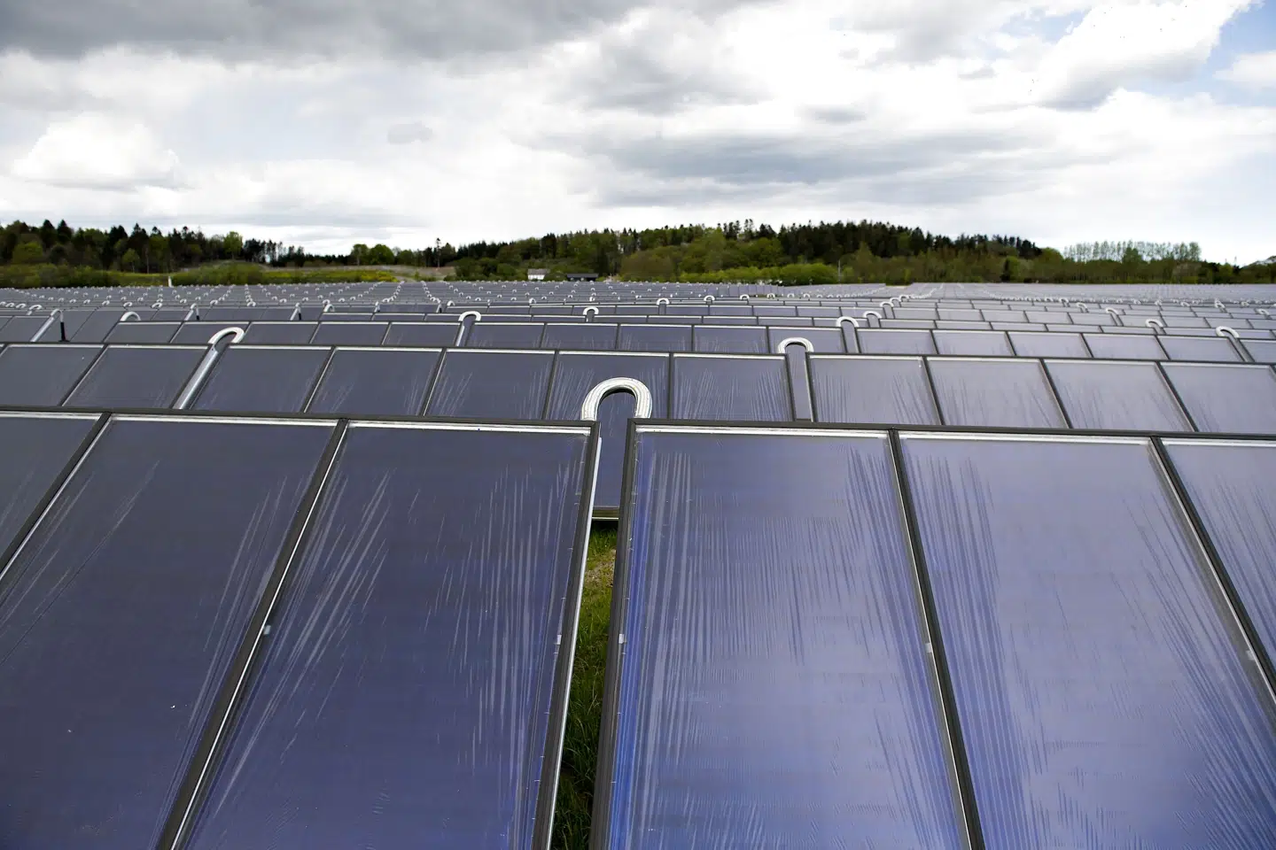 GreenGo Energys nye energipark i Ringkøbing-Skjern skal baseres på vedvarende energi fra en blanding af sol- og vindenergi. (Arkivfoto). Henning Bagger/Ritzau Scanpix