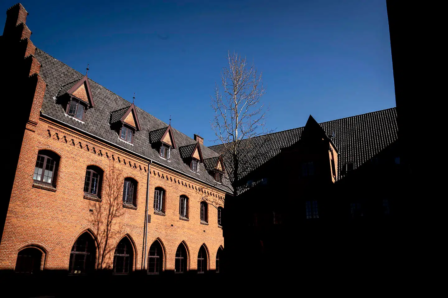 Det faglige niveau på Herlufsholm er højt. I grundskolen er karaktergennemsnittet således på 9,2 i de bundne prøver i 9. klasse. Landsgennemsnit er på 8,0. I gymnasiet på Herlufsholm er snittet 9 mod et landsgennemsnit på 7,7 til studentereksamen.