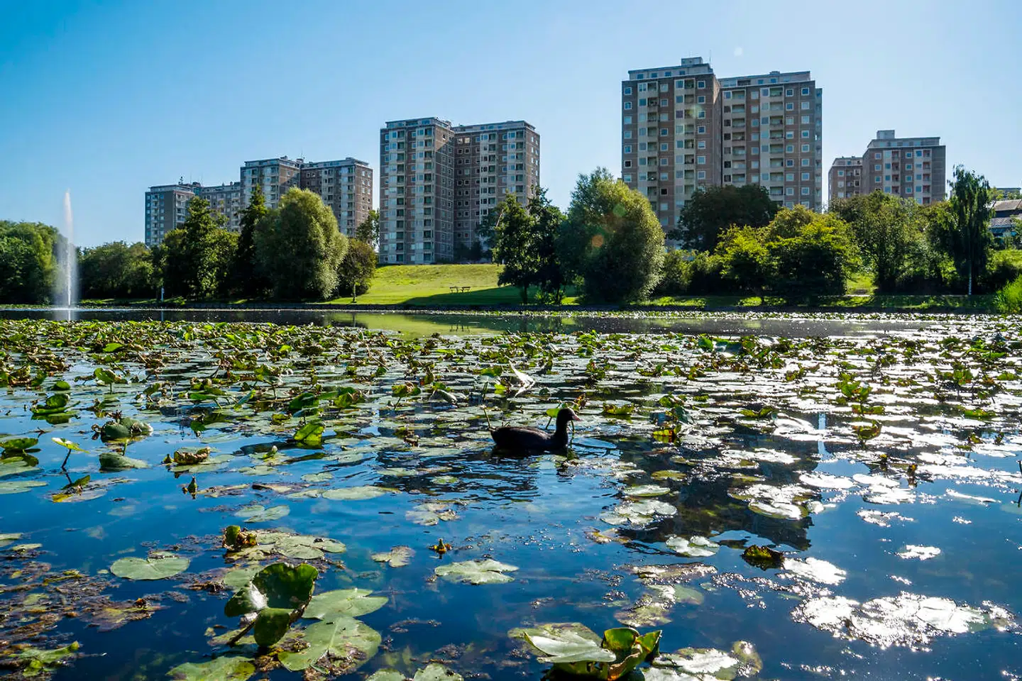 I vindstille vejr er det ikke noget problem. Men for Bellahøjhusene i Brønshøj udgør hård blæst en sikkerhedsrisiko. Arkivfoto: Søren Bidstrup