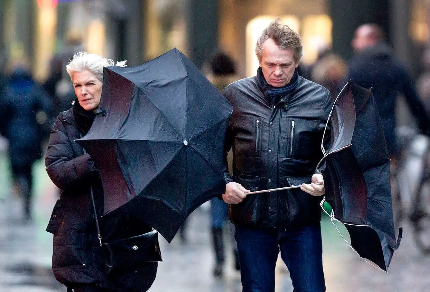 Det kan være en god idé at surre trampolinen fast og tjekke infrastrukturen, hvis man skal rejse. Et kraftigt blæsevejr med vindstød op til stærk storm rammer Danmark.