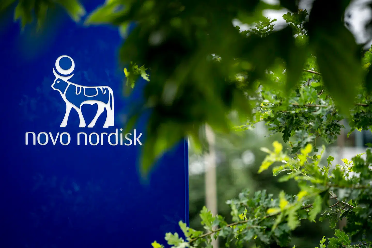 Californien lægger sag an mod Novo Nordisk (arkivfoto).
