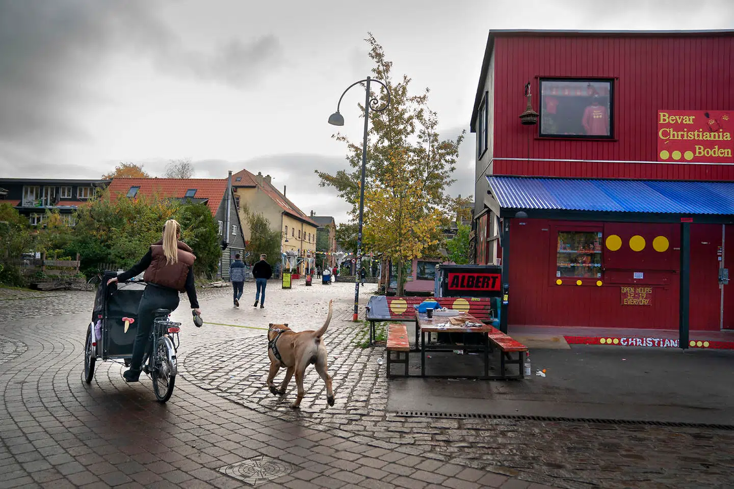»Trods årtiers protester især fra borgerliges side har christianitterne også overtaget ejerskabet til Christiania via en fond. I hvilket år skete det?«