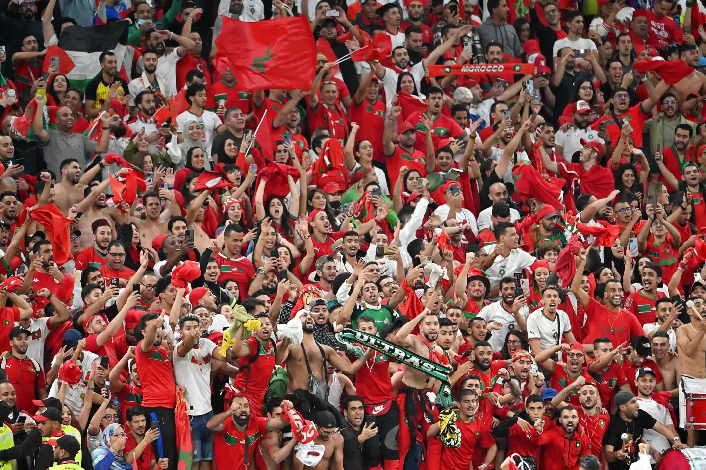 Marokko har haft god opbakning på tribunerne ved VM i Qatar, og sådan bliver det formentlig også mod Frankrig trods aflysninger af fly. Alberto Pizzoli/Ritzau Scanpix