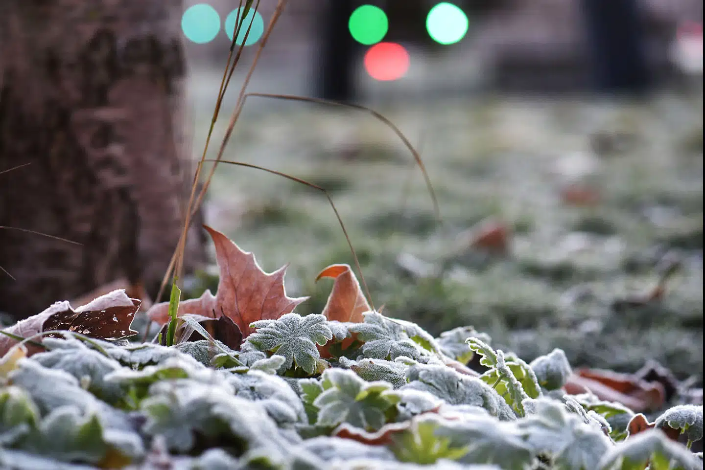 Snebyger over Nordsøen kan meget vel være på vej ind over Danmark.