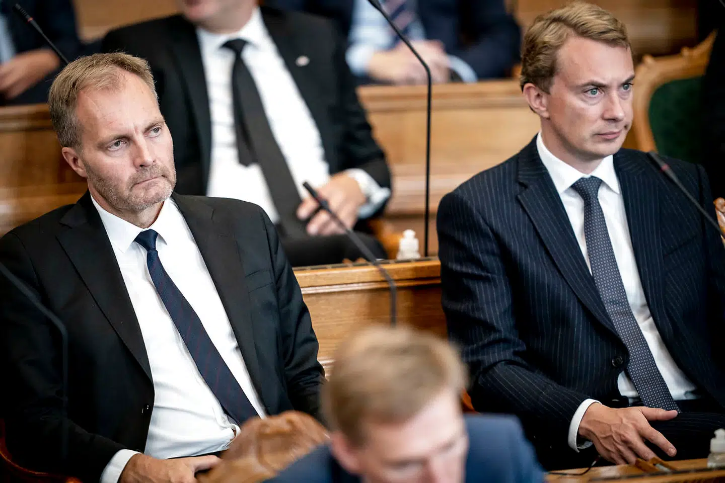 Der var et EU-seminar om tirsdagen på DFs sommergruppemøde i Skagen i 2015, siger Morten Messerschmidt. Nej, det var der ikke, siger Peter Skaarup.