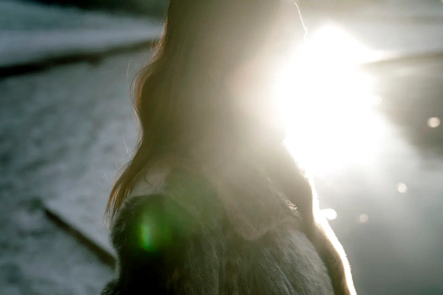 »Så kom truslerne, slagene, den overvældende vrede og magtudøvelsen. Truslerne var langt de værste, for de hæmmede min evne til at tage skeen i egen hånd og gøre noget. Især fordi der var børn involveret. Jeg gjorde ret tidligt op med mig selv, at det blev enten mig og børnene sammen, som kom ud af det, eller ingen af os. Jeg efterlod ingen,« skriver kronikøren.