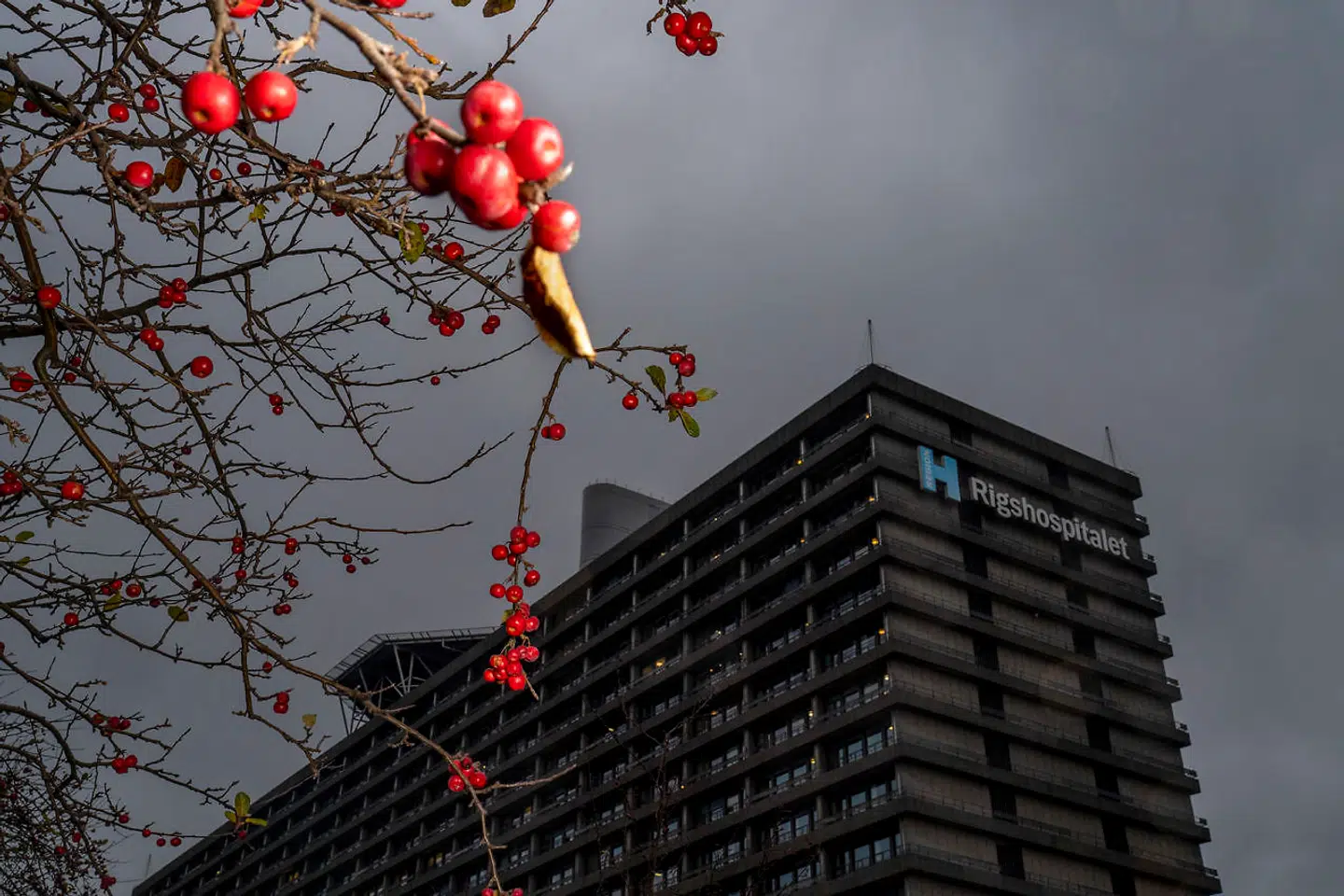 I perioden fra juni til november sidste år havde Danmark bare otte svært syge gravide med covid-19. Herunder et tilfælde, hvor et barn mistede livet. I samme periode i år er tallet steget til 31 svært syge gravide, og 11 børn har mistet livet.