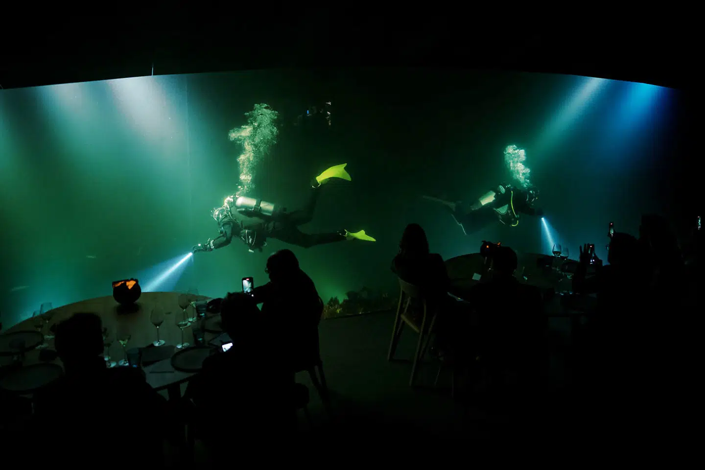 Pludselig dukker to dykkere op, ud af det blå.