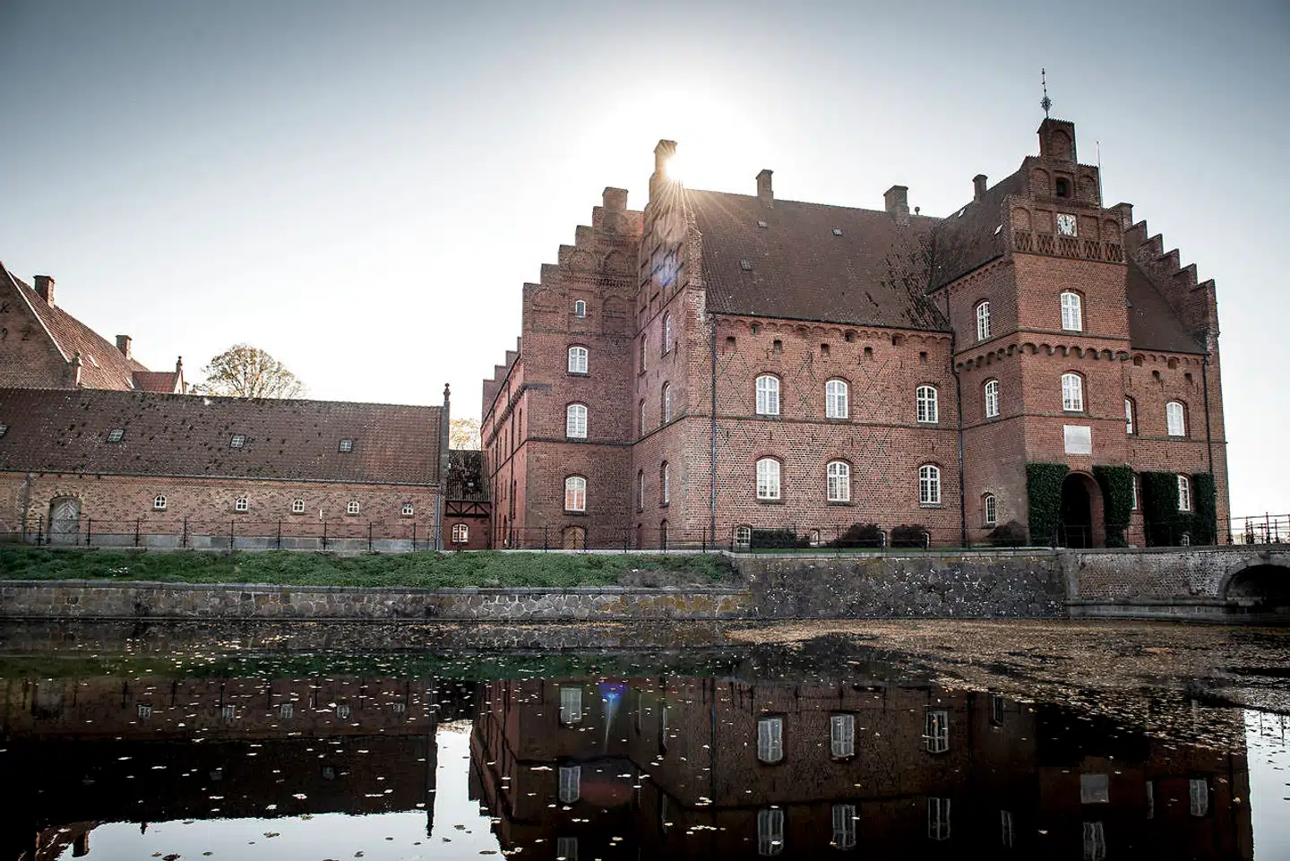 Fredningssagen ved Gisselfeld Kloster tilskynder ikke private ejere af natur til at passe på naturen, skriver Ole P. Kristensen i denne leder. »Hvis de gør det for godt, så risikerer de at blive ramt af en fredningssag, der forringer deres økonomi.«