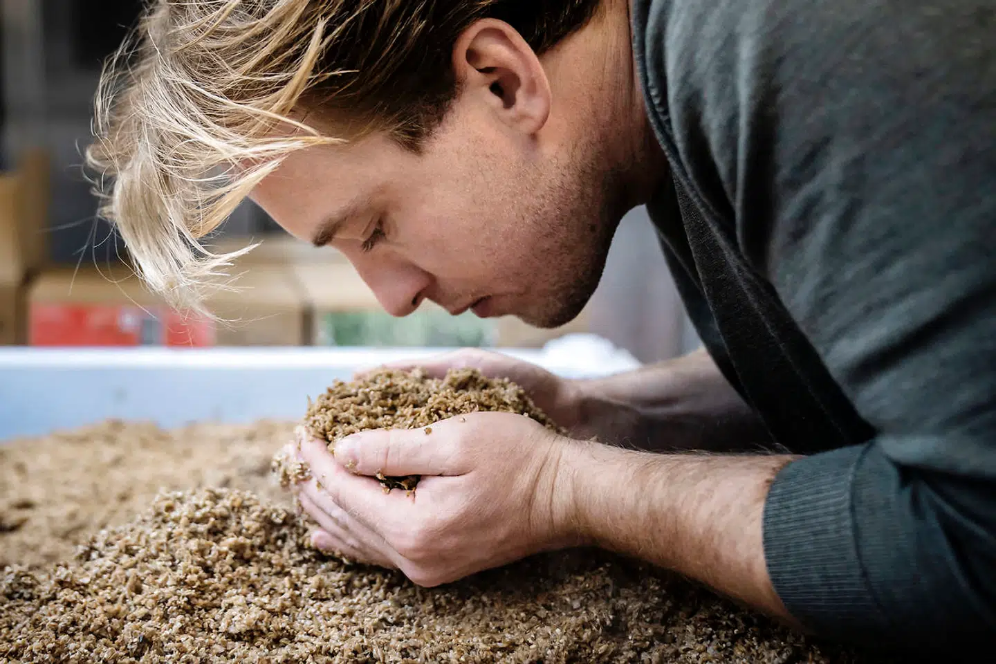 Malt er en vigtig ingrediens i ølbrygningen – og den kan duftes i lokalet.