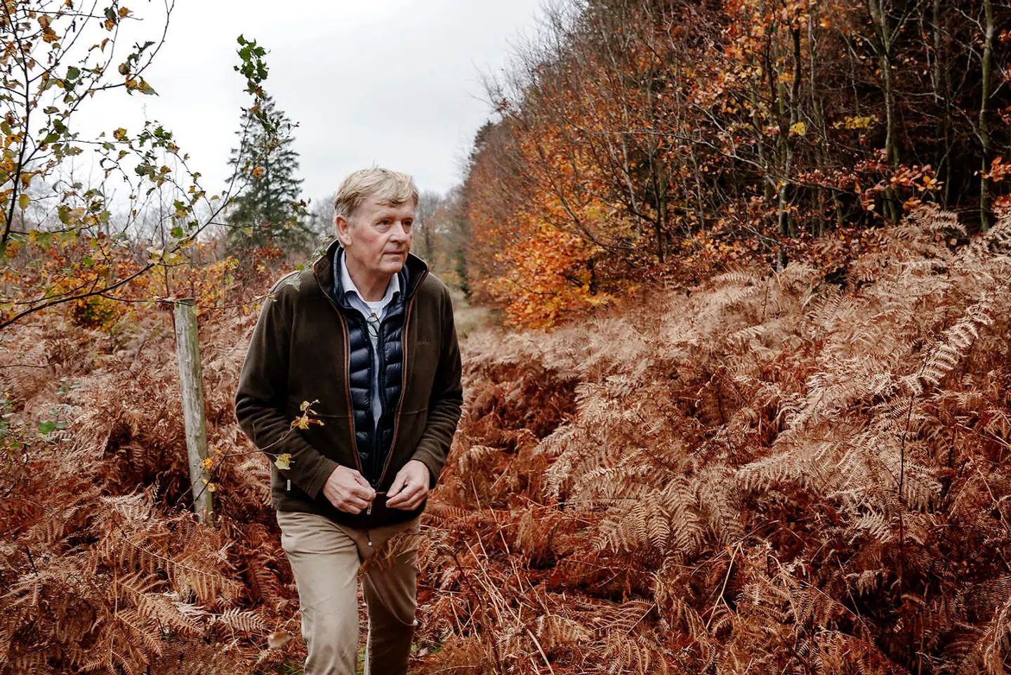 Jens Risom er godsforvalter på det sydsjællandske Gisselfeld Kloster og dermed også forvalter af skovområdet Denderup Vænge.
