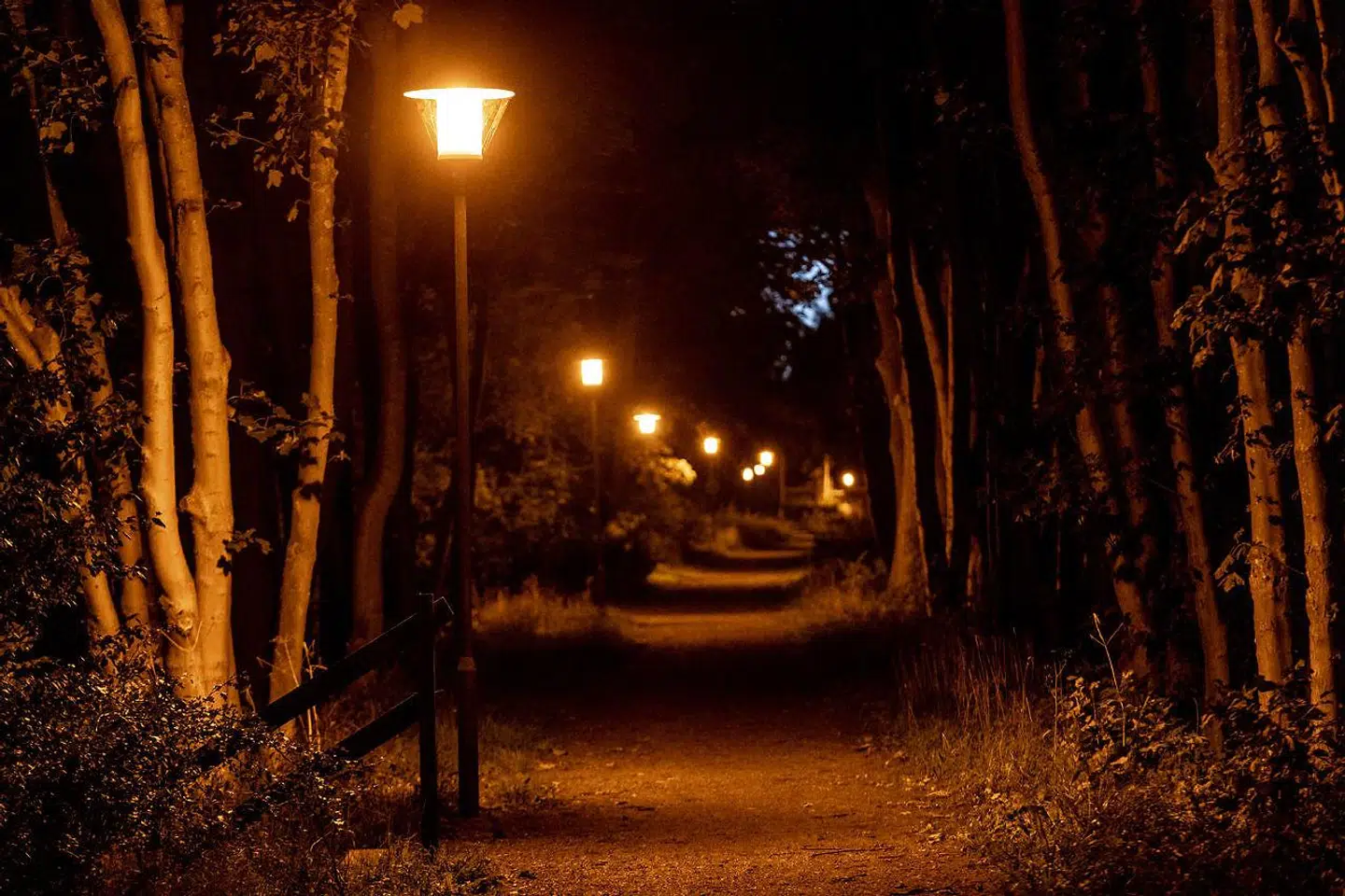 »Hvis en person bliver sigtet for en voldtægt, som denne ikke i juridisk forstand har gjort sig skyldig i, bliver vedkommende ikke dømt. Sådan skal det være,« skriver Dorte Rasmussen Frankel.