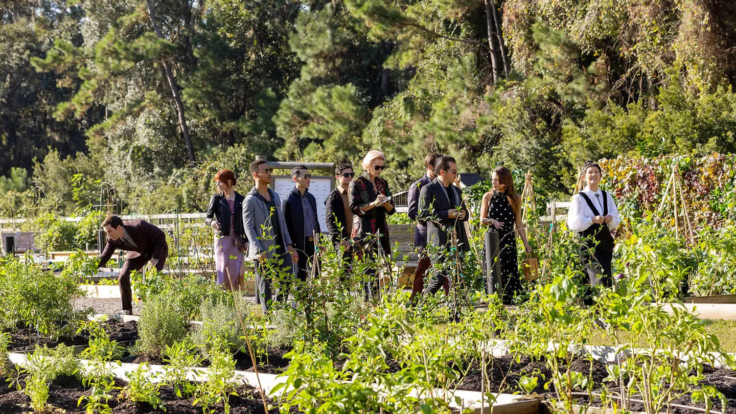 »Margot er med andre ord »vores« øjne i det opstyltede, iscenesatte restaurantliv, der er forbeholdt de få. Hende, der bliver imponeret over restaurantens egen have, for selvfølgelig er de selvforsynende, når det kommer til grøntsager, krydderier og madblomster. Men hun er også som drengen, der råber, at kejseren ingen klæder har på, da de får brød serveret uden brød, men kun fire små dip beregnet til brødet.«