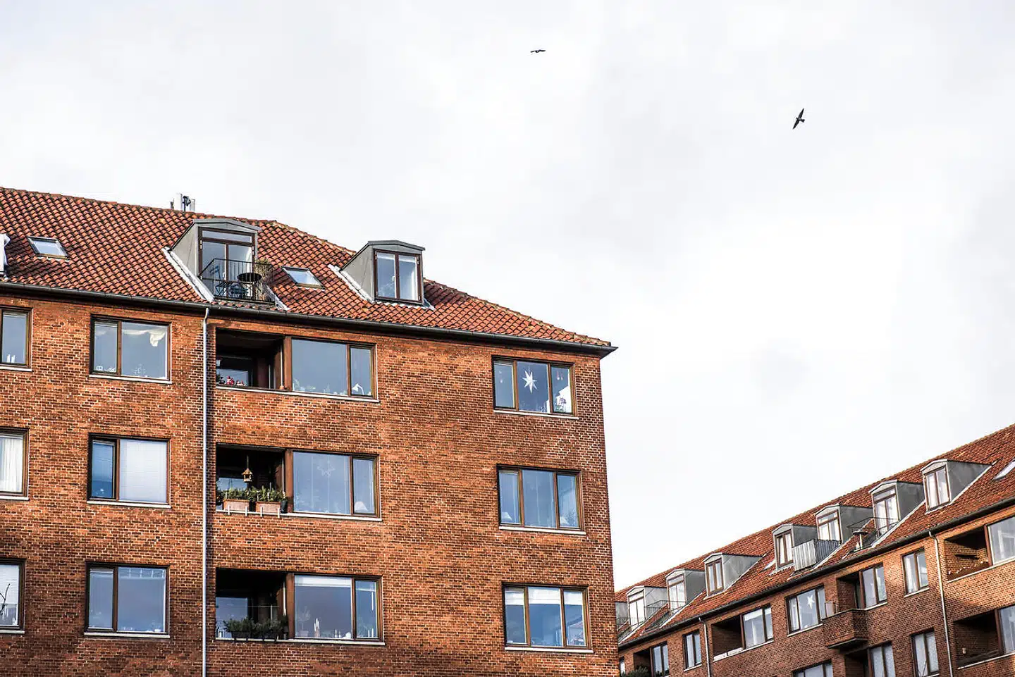 Andelsboligforeningen Hostrups Have på Frederiksberg gik konkurs i 2016, efter at være endt i økonomisk stormvejr på grund af et af de omdiskuterede swaplån. Arkivfoto: Ida Marie Odgaard/Ritzau Scanpix