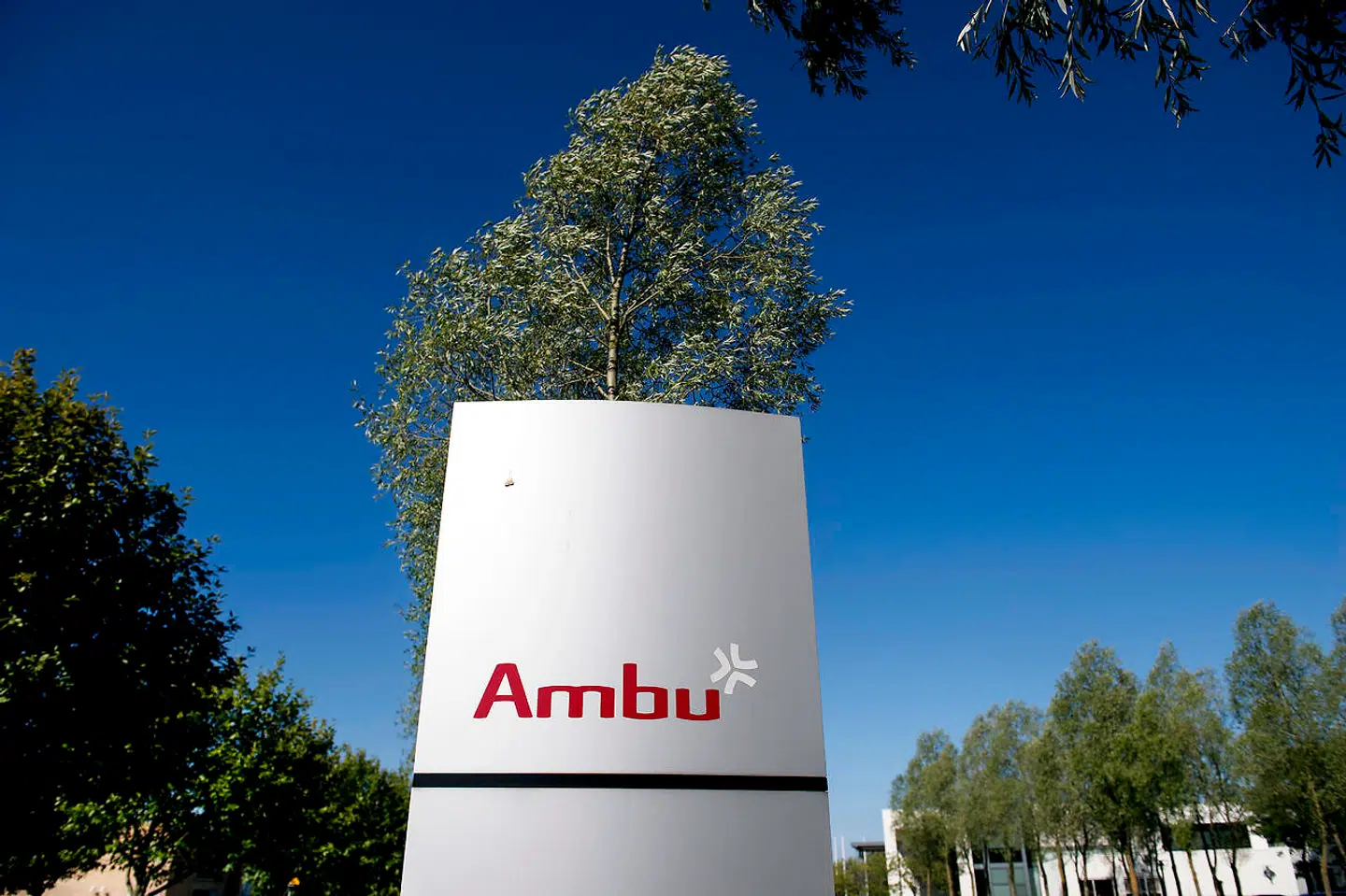 Det seneste år har Ambu særligt været udfordret i sin mest betydningsfulde division, Visualization, der blandt andet producerer endoskoper (arkivfoto).