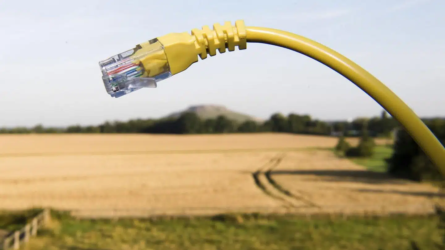 Stabile, solide internetforbindelser og det overhovedet at kunne få dem, topper listen, når danske virksomheder skal prioritere, hvilke rammevilkår der er allervigtigst for, at de kan drive forretning.