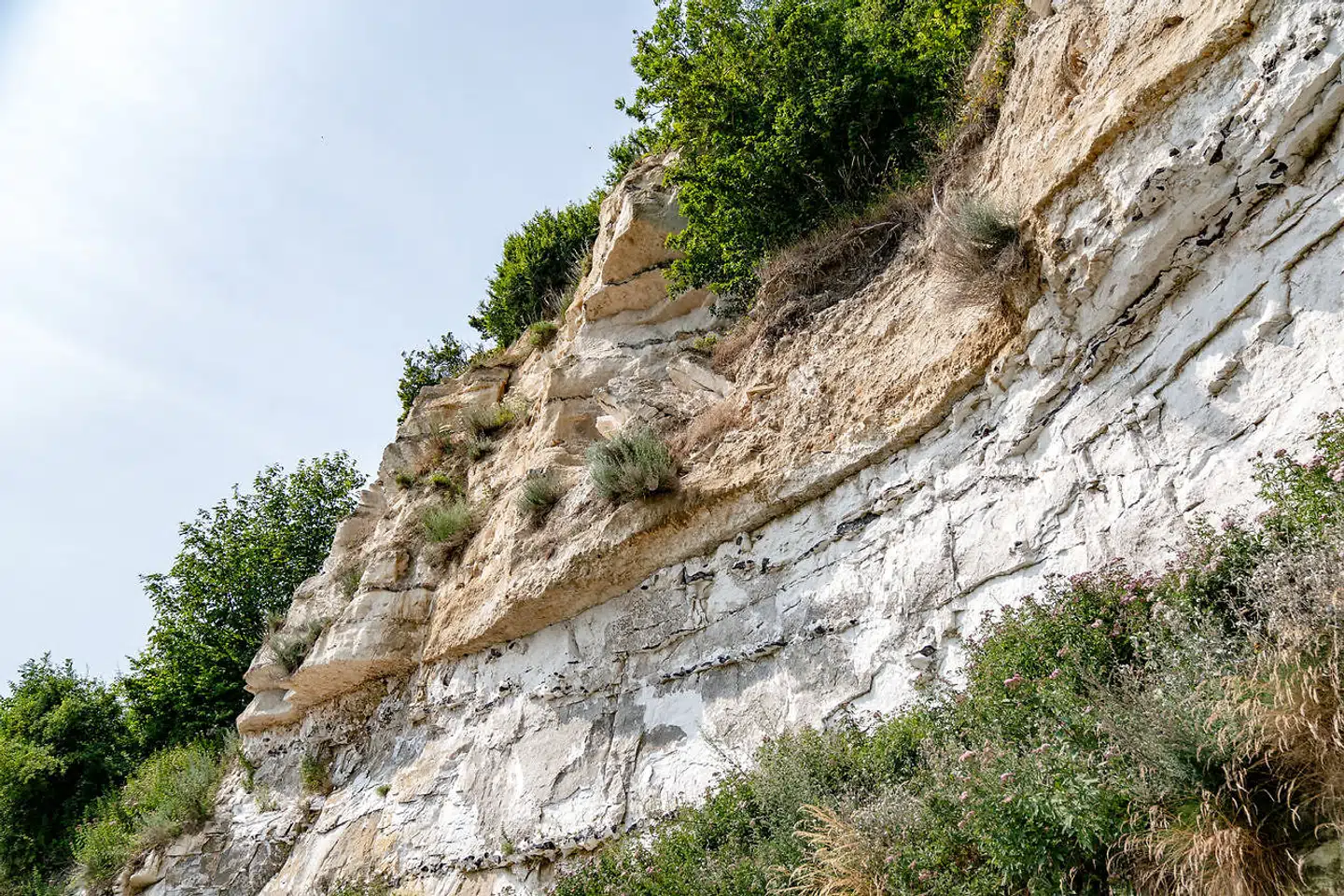 Stevns Klint er især kendt for sit tydelige lag fiskeler fra det altødelæggende meteornedslag for millioner af år siden.