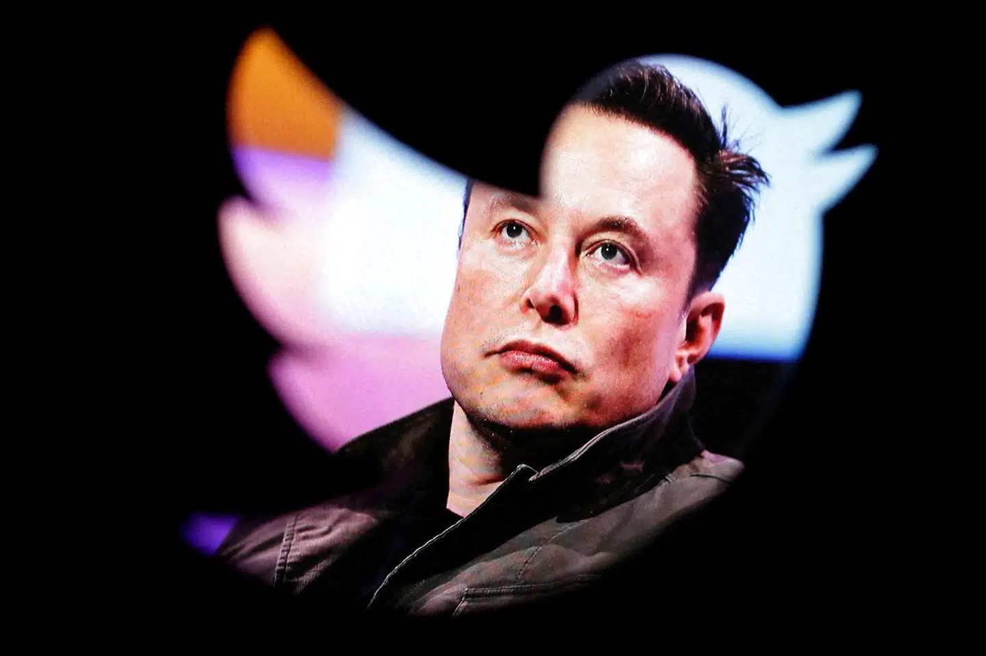 »Da Musk overtog Twitter, tweetede han, at 'humor nu er lovligt på Twitter'. Men da en række profiler begyndte at ændre deres brugernavne til Elon Musk og gøre grin med Musks stadigt mere bizarre opførsel og politikker, lancerede Musk en ny politik, der uden advarsel permanent suspenderer brugere, der parodierer andre,« skriver Jacob Mchangama.