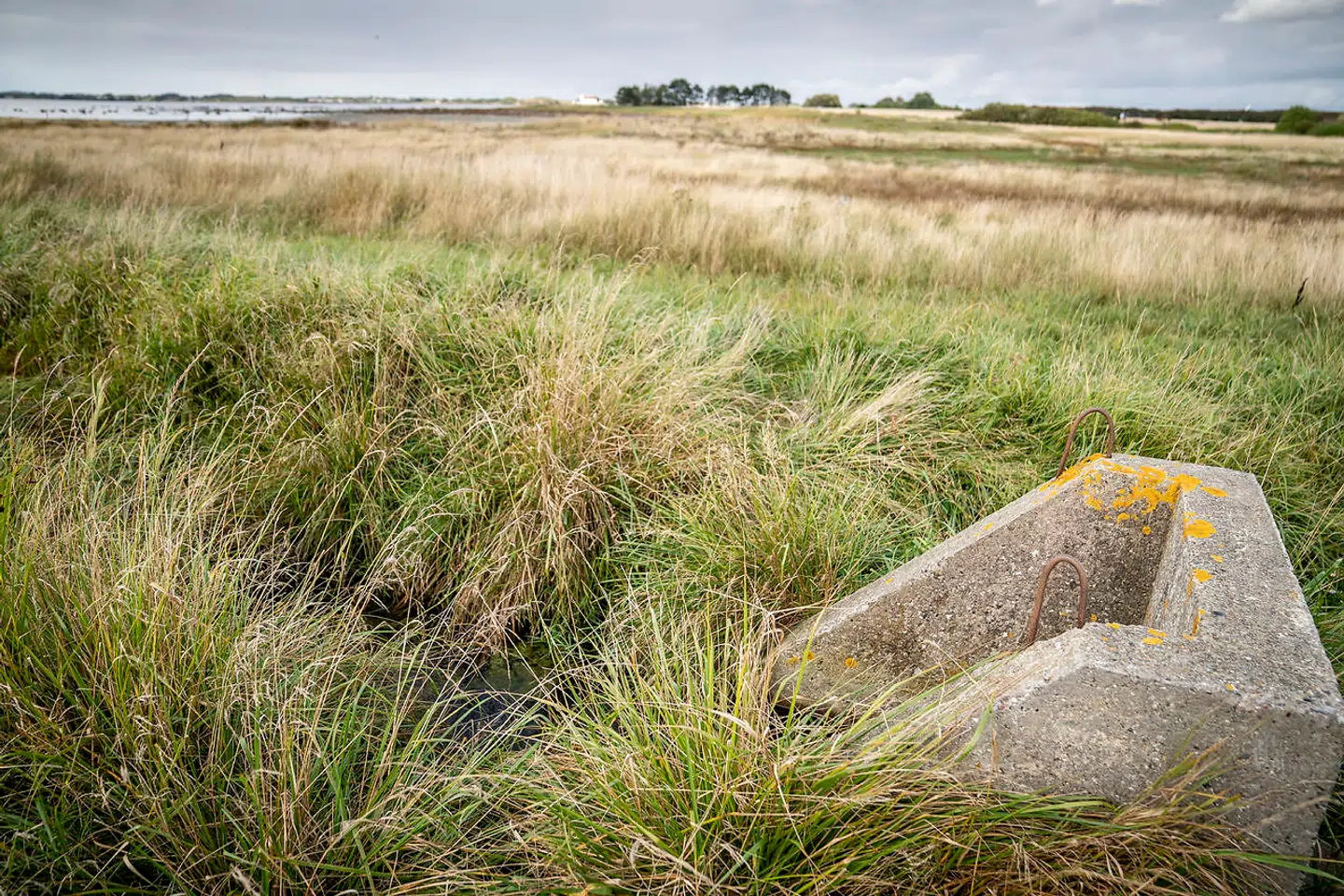 Området for bombesøgningen på en mark ved Sønderborg skal udvides. Det blev besluttet, da den lokale beredskabsstab mødtes mandag, skriver Syd- og Sønderjyllands Politi i en pressemeddelelse. Billedet er ikke fra den mark. (Foto: Mads Claus Rasmussen/Ritzau Scanpix)