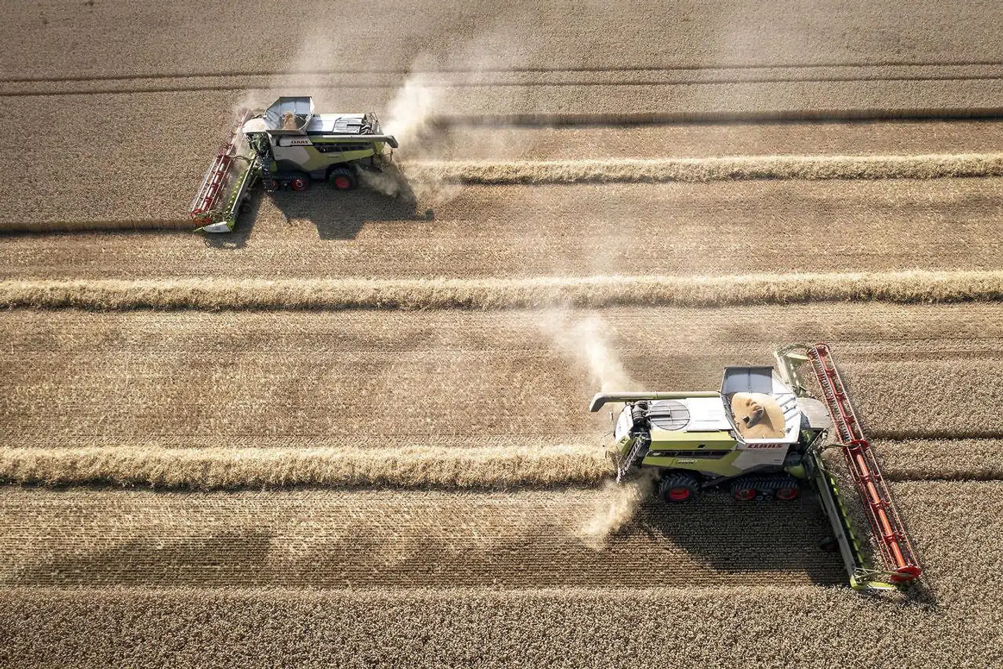 »Det er også vigtigt, at politikerne ikke lægger så mange bånd på en afgift, at den ikke kommer til at virke hensigtsmæssigt. Hvis en afgift skal virke på klimaet, kan den ikke undgå at føre til for eksempel højere priser på nogle fødevarer og højere omkostninger i landbruget og følgeerhvervene,« skriver Ulrik Beck, Torsten Hasforth og Otto Brøns-Petersen.
