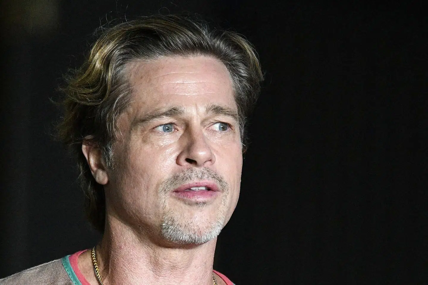 Brad Pitt har en formue på 300 millioner amerikanske dollar. Han fortæller til Vogue, at han har skabt hudplejeserien »Le Domaine« delvist for at efterligne sin eks Gwyneth Paltrows »Goop«-imperium – et wellness- og livsstilsbrand udviklet af skuespilleren.