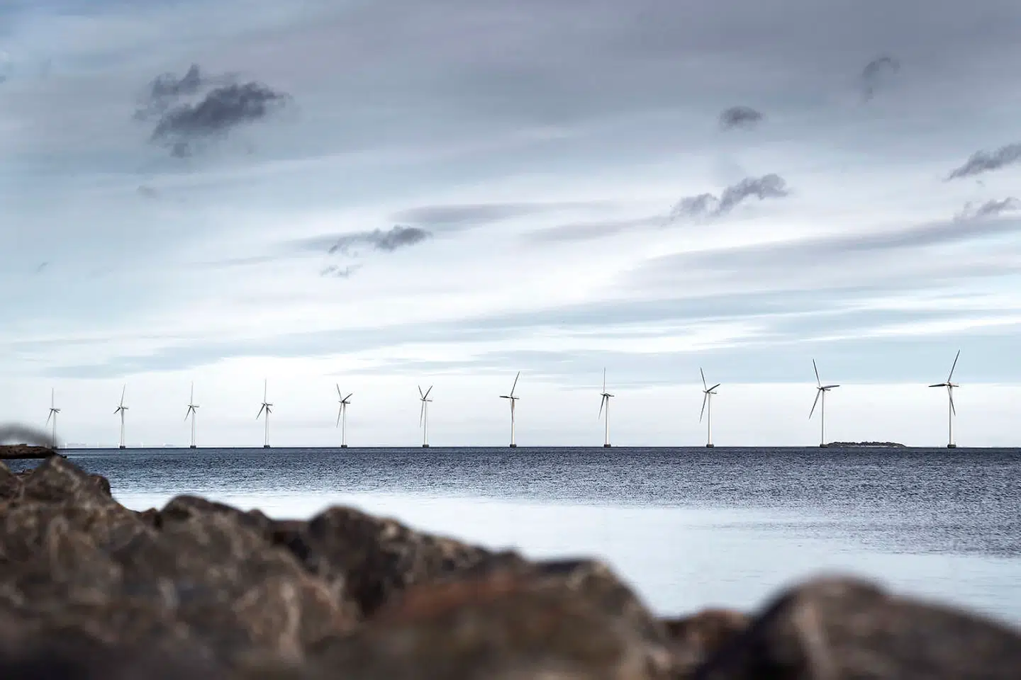 »Dansk vindkraft er vokset til et globalt eventyr – som en grim ælling er den vokset til en fuldvoksen svane på det globale energimarked,« skriver Jens H. M. Larsen.