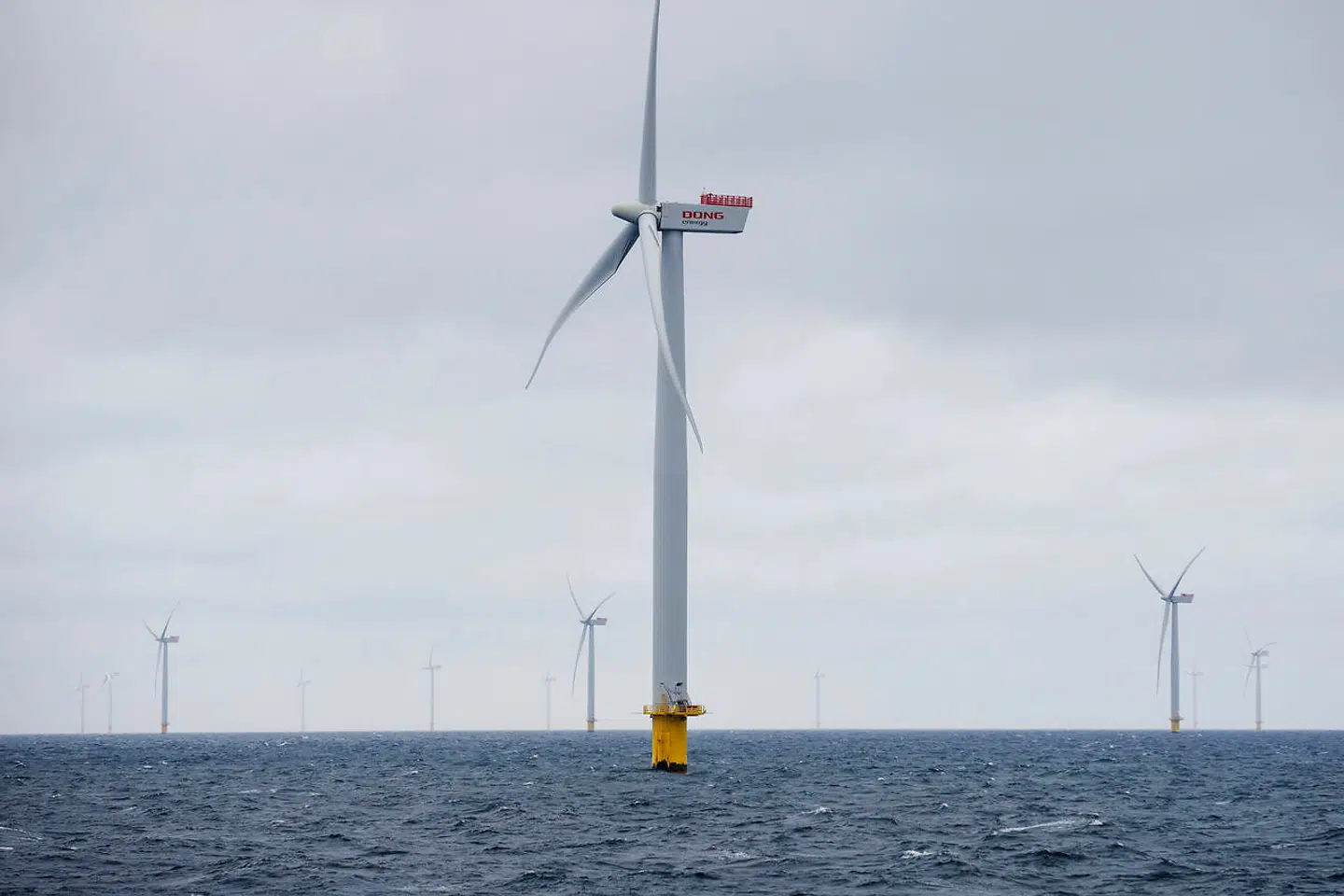 Arkivfoto: Med afsæt i Nordsøen vil Ørsted og Verdensnaturfonden sammen udvikle og teste nye løsninger, som kan sikre en hurtig udbygning af havvind og samtidig bekæmpe den globale biodiversitetskrise.