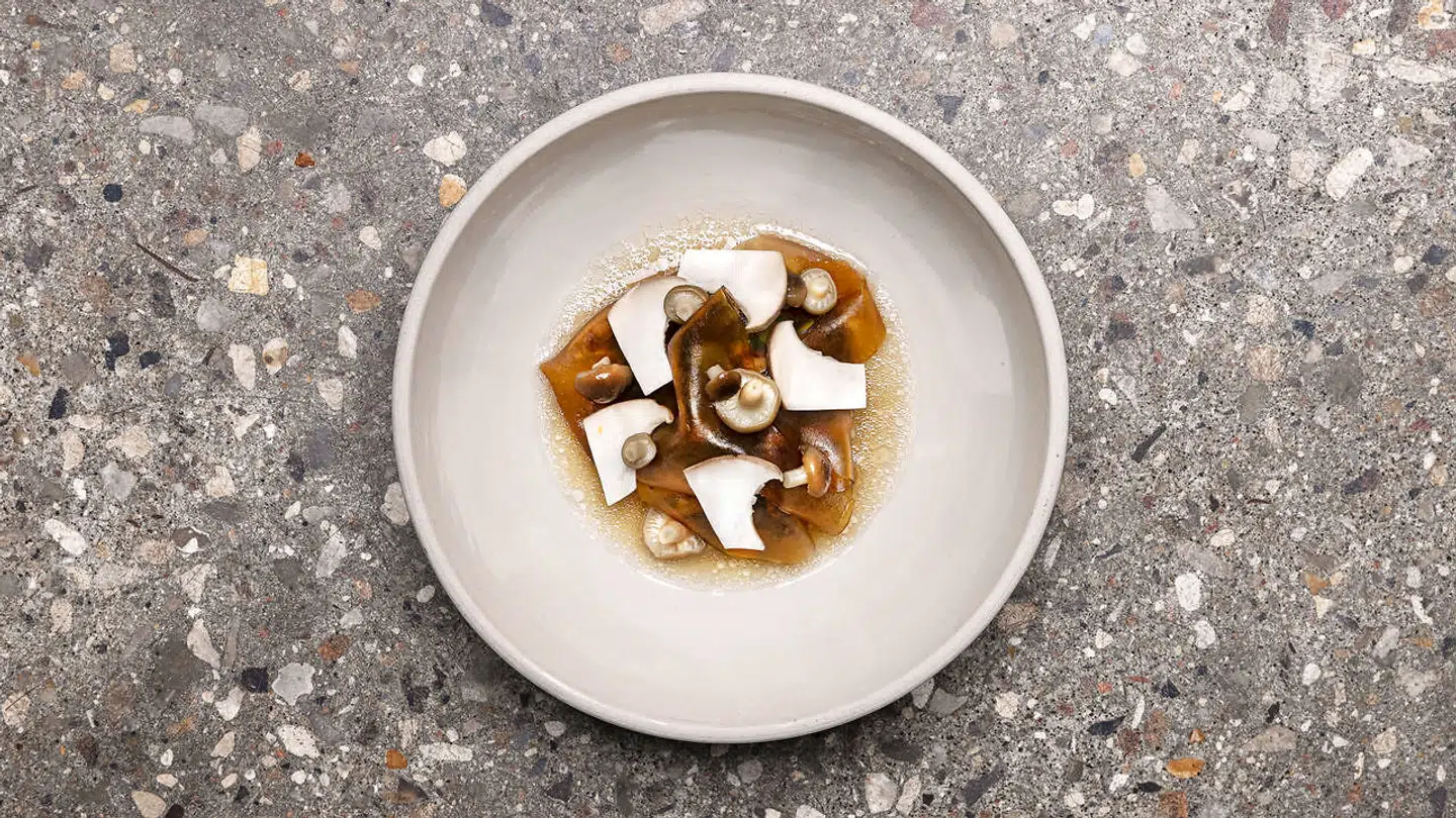 En af retterne, man vil kunne på på June er denne ret med vilde svampe, urter og bakskuldbouillon. Bakskuld er en saltet, tørret og røget fladfisk.