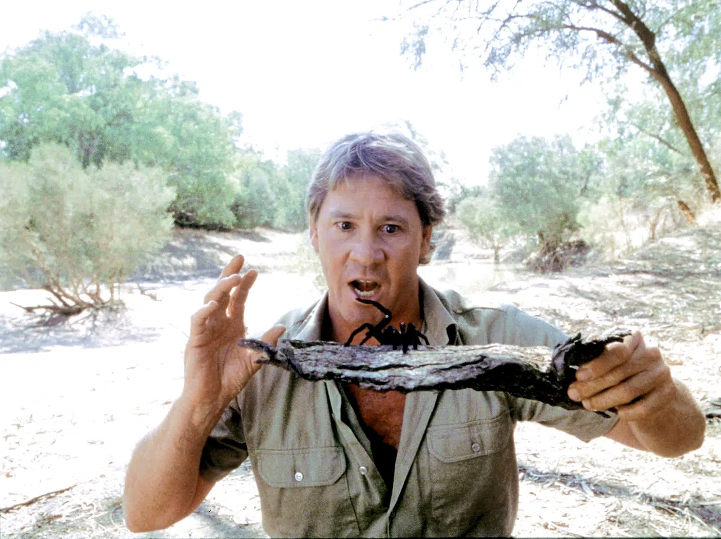 Steve Irwin døde af et angreb fra en kæmpe rokke. Hans kameramand fortæller nu indgående, hvad der skete den skæbnesvangre dag.